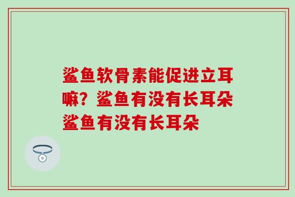 鲨鱼软骨素能促进立耳嘛？鲨鱼有没有长耳朵鲨鱼有没有长耳朵