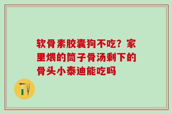 软骨素胶囊狗不吃？家里煨的筒子骨汤剩下的骨头小泰迪能吃吗