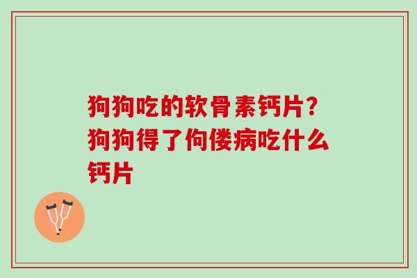 狗狗吃的软骨素钙片？狗狗得了佝偻病吃什么钙片