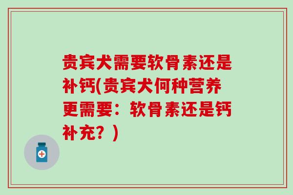 贵宾犬需要软骨素还是补钙(贵宾犬何种营养更需要：软骨素还是钙补充？)