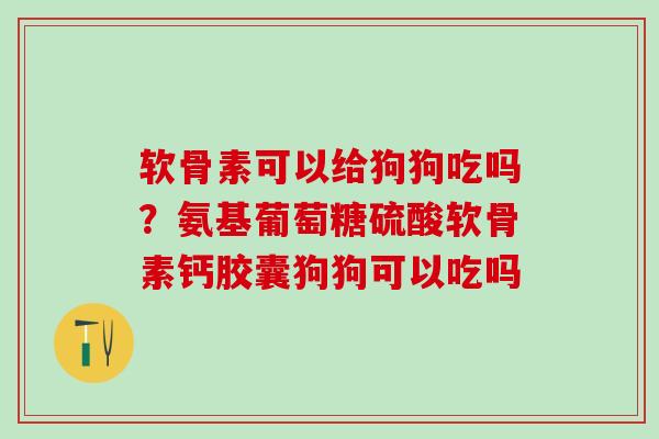 软骨素可以给狗狗吃吗?氨基葡萄糖硫酸软骨素钙胶囊狗狗可以吃吗 软骨素可以给狗狗吃吗?氨基葡萄糖硫酸软骨素钙胶囊狗狗可以吃吗