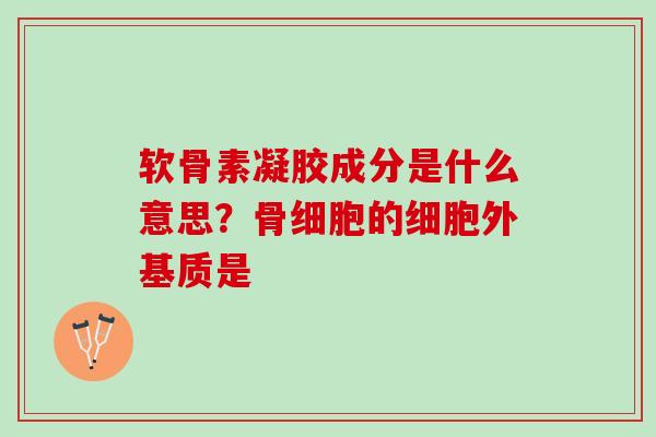 软骨素凝胶成分是什么意思？骨细胞的细胞外基质是