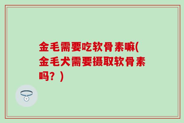 金毛需要吃软骨素嘛(金毛犬需要摄取软骨素吗？)
