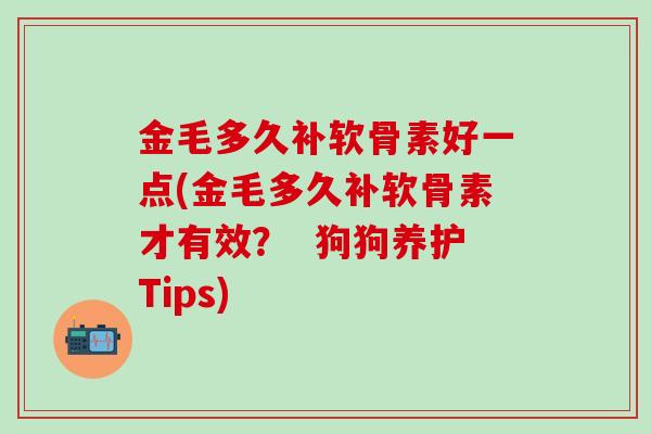 金毛多久补软骨素好一点(金毛多久补软骨素才有效？  狗狗养护Tips)