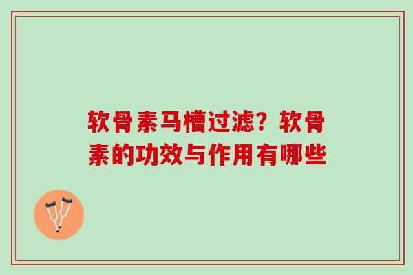 软骨素马槽过滤？软骨素的功效与作用有哪些