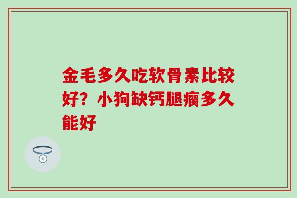 金毛多久吃软骨素比较好？小狗缺钙腿瘸多久能好