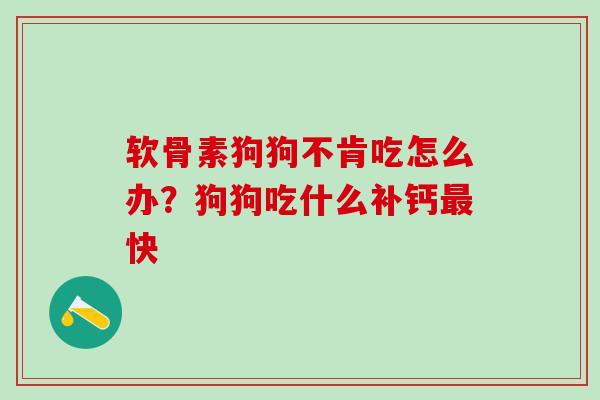 软骨素狗狗不肯吃怎么办？狗狗吃什么补钙最快