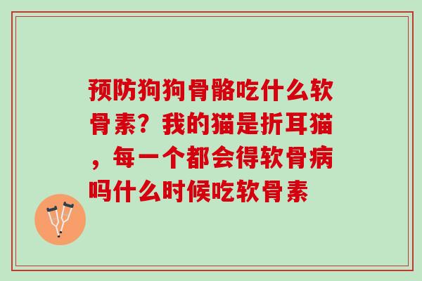 预防狗狗骨骼吃什么软骨素？我的猫是折耳猫，每一个都会得软骨病吗什么时候吃软骨素