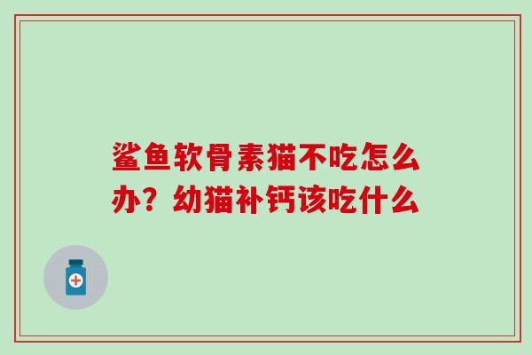 鲨鱼软骨素猫不吃怎么办？幼猫补钙该吃什么