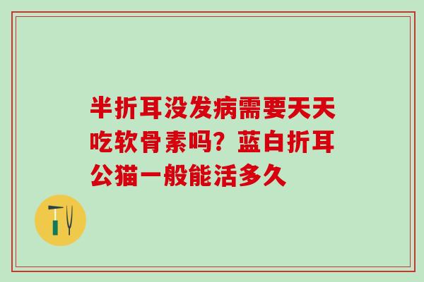 半折耳没发病需要天天吃软骨素吗？蓝白折耳公猫一般能活多久
