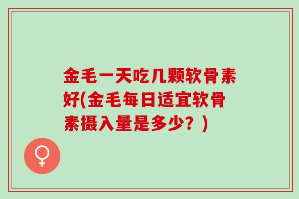 金毛一天吃几颗软骨素好(金毛每日适宜软骨素摄入量是多少？)
