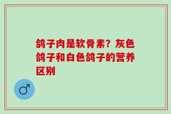 鸽子肉是软骨素？灰色鸽子和白色鸽子的营养区别