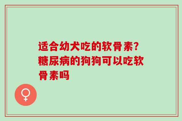 适合幼犬吃的软骨素？糖尿病的狗狗可以吃软骨素吗