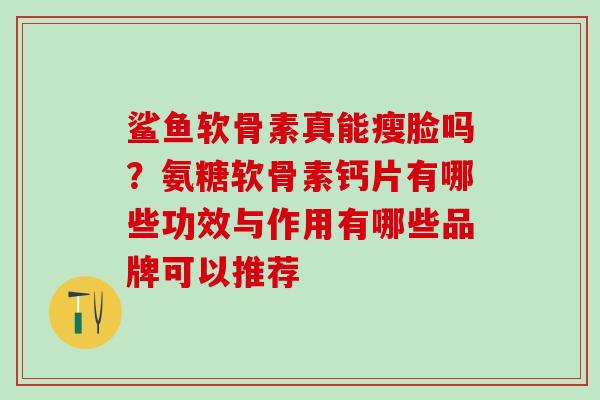 鲨鱼软骨素真能瘦脸吗？氨糖软骨素钙片有哪些功效与作用有哪些品牌可以推荐
