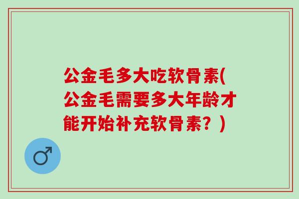 公金毛多大吃软骨素(公金毛需要多大年龄才能开始补充软骨素？)
