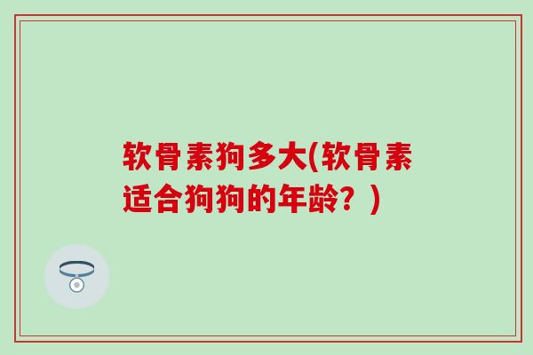 软骨素狗多大(软骨素适合狗狗的年龄？)