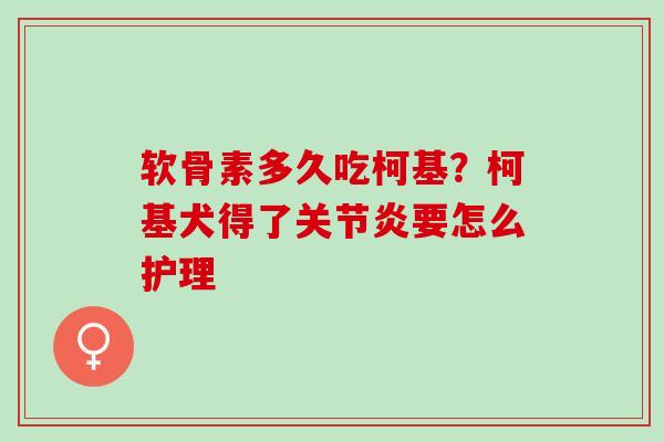 软骨素多久吃柯基?柯基犬得了要怎么护理 软骨素多久吃柯基?柯基犬得了要怎么护理