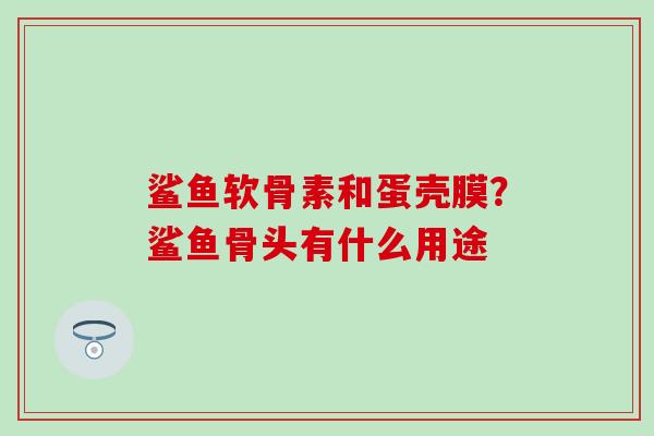 鲨鱼软骨素和蛋壳膜？鲨鱼骨头有什么用途