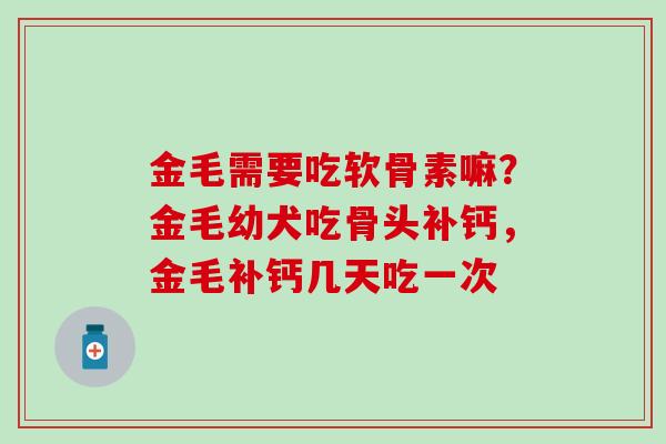 金毛需要吃软骨素嘛？金毛幼犬吃骨头补钙，金毛补钙几天吃一次