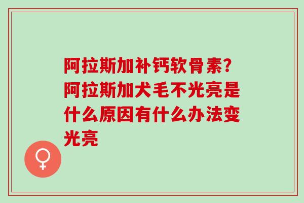 阿拉斯加补钙软骨素？阿拉斯加犬毛不光亮是什么原因有什么办法变光亮
