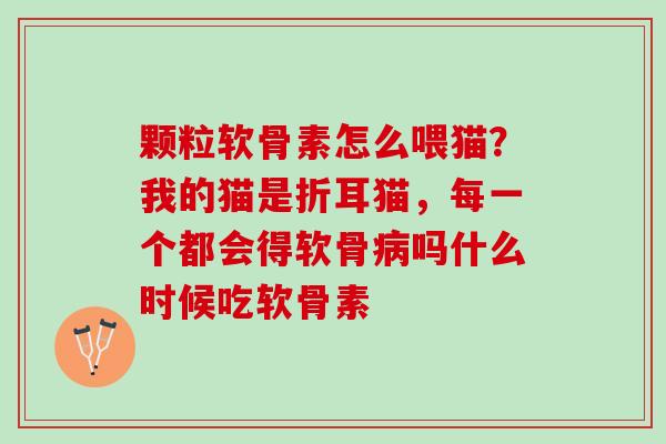 颗粒软骨素怎么喂猫？我的猫是折耳猫，每一个都会得软骨病吗什么时候吃软骨素