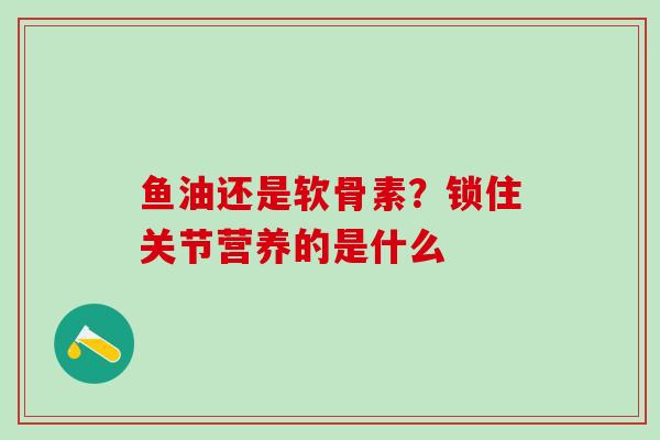 鱼油还是软骨素？锁住关节营养的是什么