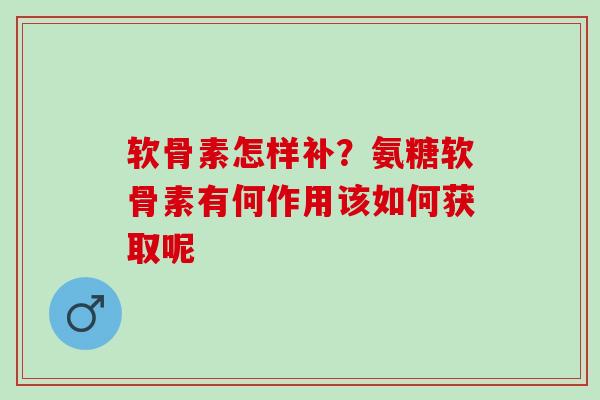 软骨素怎样补？氨糖软骨素有何作用该如何获取呢