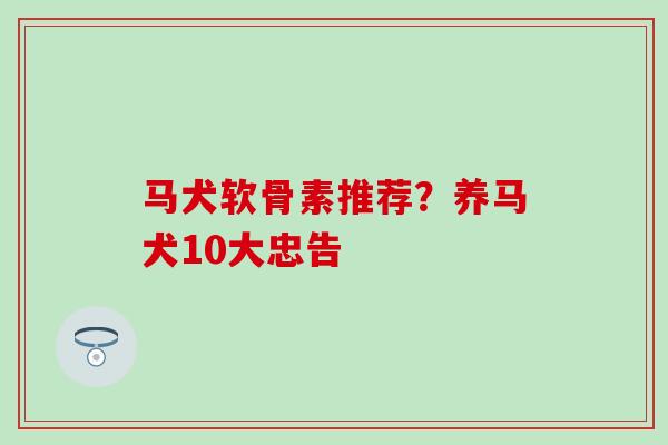 马犬软骨素推荐？养马犬10大忠告