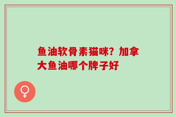 鱼油软骨素猫咪？加拿大鱼油哪个牌子好