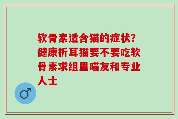 软骨素适合猫的症状？健康折耳猫要不要吃软骨素求组里喵友和专业人士