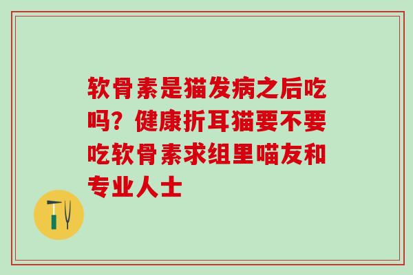 软骨素是猫发病之后吃吗？健康折耳猫要不要吃软骨素求组里喵友和专业人士
