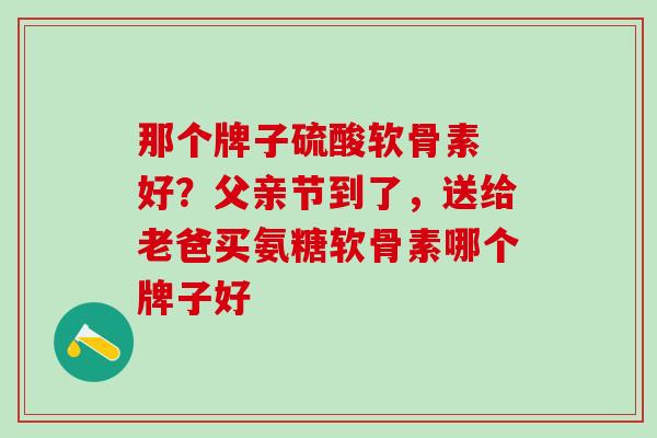 那个牌子硫酸软骨素 好？父亲节到了，送给老爸买氨糖软骨素哪个牌子好