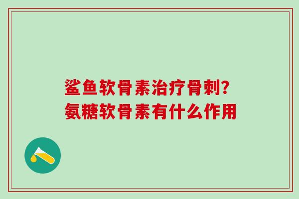 鲨鱼软骨素？氨糖软骨素有什么作用