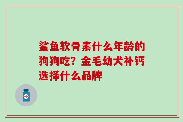 鲨鱼软骨素什么年龄的狗狗吃？金毛幼犬补钙选择什么品牌