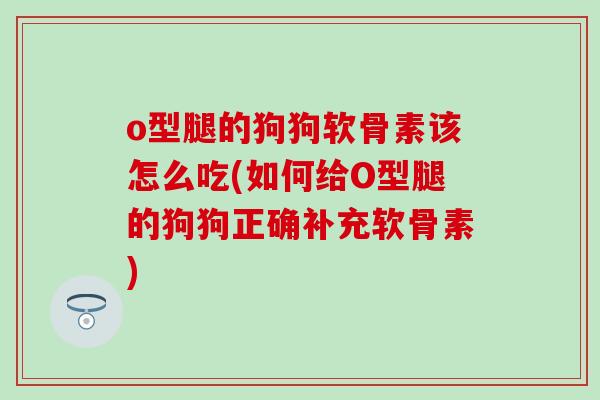 o型腿的狗狗软骨素该怎么吃(如何给O型腿的狗狗正确补充软骨素)