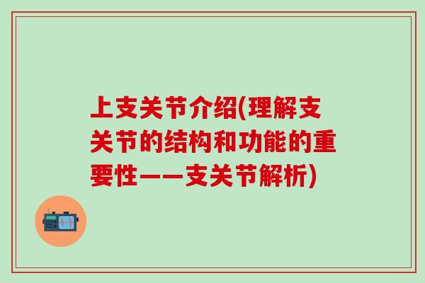 上支关节介绍(理解支关节的结构和功能的重要性——支关节解析)
