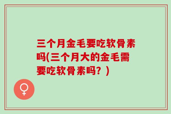 三个月金毛要吃软骨素吗(三个月大的金毛需要吃软骨素吗？)