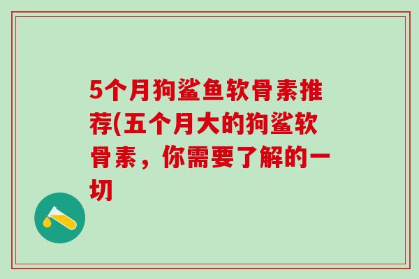 5个月狗鲨鱼软骨素推荐(五个月大的狗鲨软骨素，你需要了解的一切
