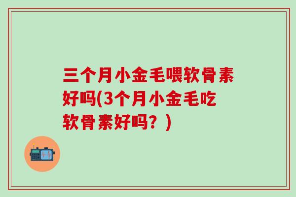 三个月小金毛喂软骨素好吗(3个月小金毛吃软骨素好吗？)