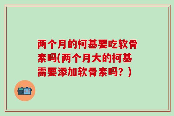 两个月的柯基要吃软骨素吗(两个月大的柯基需要添加软骨素吗？)