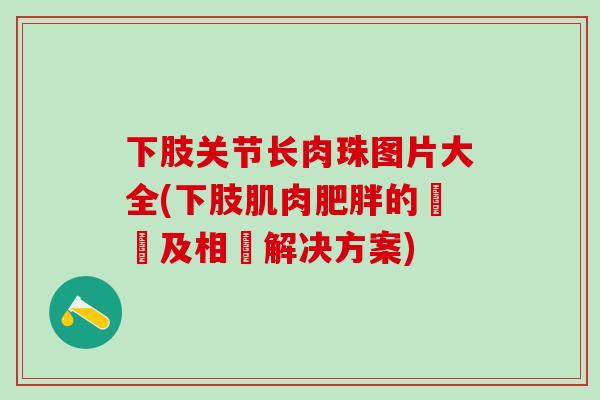 下肢关节长肉珠图片大全(下肢肌肉肥胖的狀況及相關解决方案)