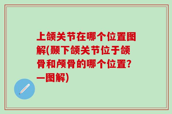 上颌关节在哪个位置图解(颞下颌关节位于颌骨和颅骨的哪个位置？—图解)