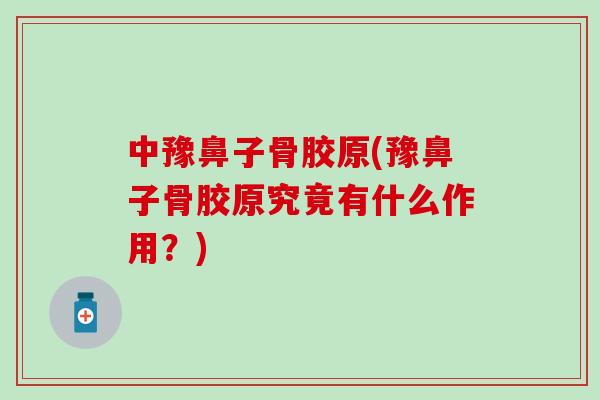 中豫鼻子骨胶原(豫鼻子骨胶原究竟有什么作用？)