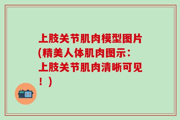 上肢关节肌肉模型图片(精美人体肌肉图示：上肢关节肌肉清晰可见！)