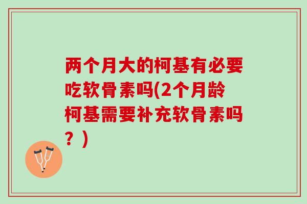 两个月大的柯基有必要吃软骨素吗(2个月龄柯基需要补充软骨素吗？)