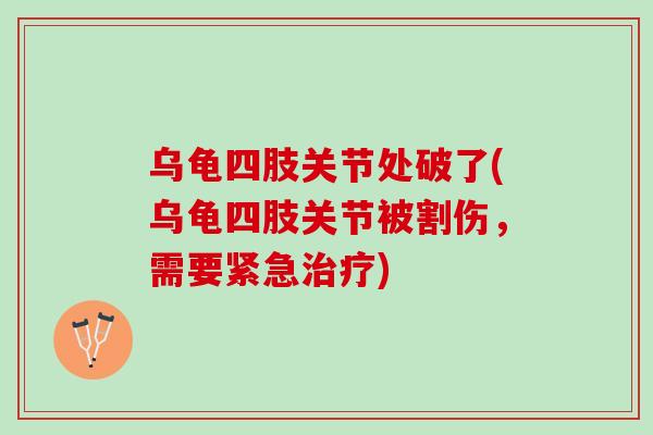 乌龟四肢关节处破了(乌龟四肢关节被割伤，需要紧急)