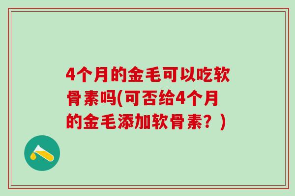 4个月的金毛可以吃软骨素吗(可否给4个月的金毛添加软骨素？)