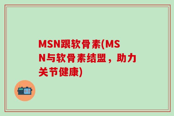 MSN跟软骨素(MSN与软骨素结盟，助力关节健康)