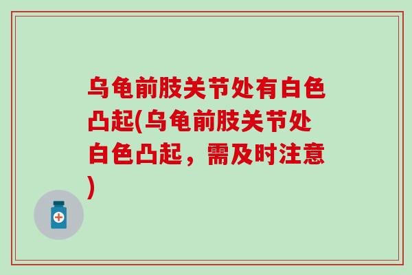 乌龟前肢关节处有白色凸起(乌龟前肢关节处白色凸起，需及时注意)