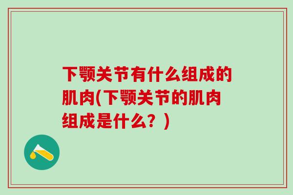 下颚关节有什么组成的肌肉(下颚关节的肌肉组成是什么？)